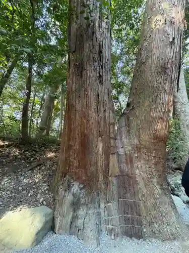 伊勢神宮外宮（豊受大神宮）の{uncategorized: "未分類", other: "その他", undefined: "問題あり", building: "その他建物", grave: "お墓", sacred_gate: "鳥居", guardian: "狛犬", statue: "像", buddha: "仏像", history: "歴史", nature: "自然", garden: "庭園", animal: "動物", pagoda: "塔", temizu: "手水舎", mountain_gate: "山門・神門", sanctuary: "本殿・本堂", subordinate: "末社・摂社", art: "芸術", scenery: "景色", jizo: "地蔵", ema: "絵馬", goshuin: "御朱印", omikuji: "おみくじ", items: "授与品その他", amulet: "お守り", goshuincho: "御朱印帳", eats: "食事", festival: "お祭り", votive_dance: "神楽", shichigosan: "七五三参", wedding: "結婚式", experience: "体験その他", initially: "初詣", around: "周辺", anti_infection: "感染症対策"}