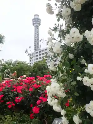 石川町諏訪神社(神奈川県)