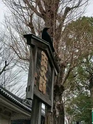 輪王寺両大師堂(寛永寺輪王殿)の{uncategorized: "未分類", other: "その他", undefined: "問題あり", building: "その他建物", grave: "お墓", sacred_gate: "鳥居", guardian: "狛犬", statue: "像", buddha: "仏像", history: "歴史", nature: "自然", garden: "庭園", animal: "動物", pagoda: "塔", temizu: "手水舎", mountain_gate: "山門・神門", sanctuary: "本殿・本堂", subordinate: "末社・摂社", art: "芸術", scenery: "景色", jizo: "地蔵", ema: "絵馬", goshuin: "御朱印", omikuji: "おみくじ", items: "授与品その他", amulet: "お守り", goshuincho: "御朱印帳", eats: "食事", festival: "お祭り", votive_dance: "神楽", shichigosan: "七五三参", wedding: "結婚式", experience: "体験その他", initially: "初詣", around: "周辺", anti_infection: "感染症対策"}