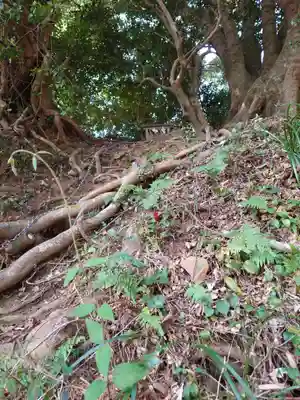 宗像大社中津宮(福岡県)