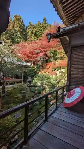 柳谷観音　楊谷寺(京都府)