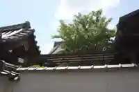 明善寺(奈良県)