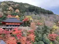 清水寺奥之院(京都府)