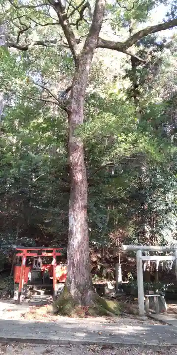 (市辺)天満神社(京都府)