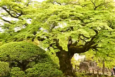 西善寺(埼玉県)