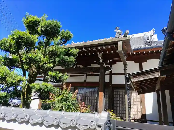 教善寺の本殿・本堂