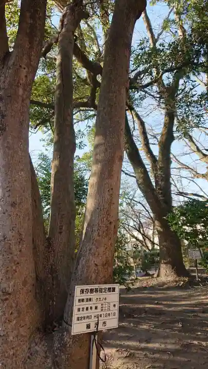 十二所社の自然