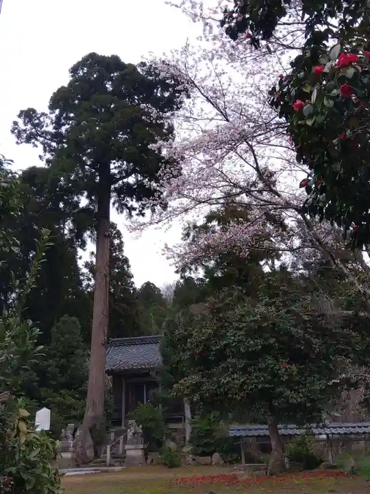 八幡神社(福井県)