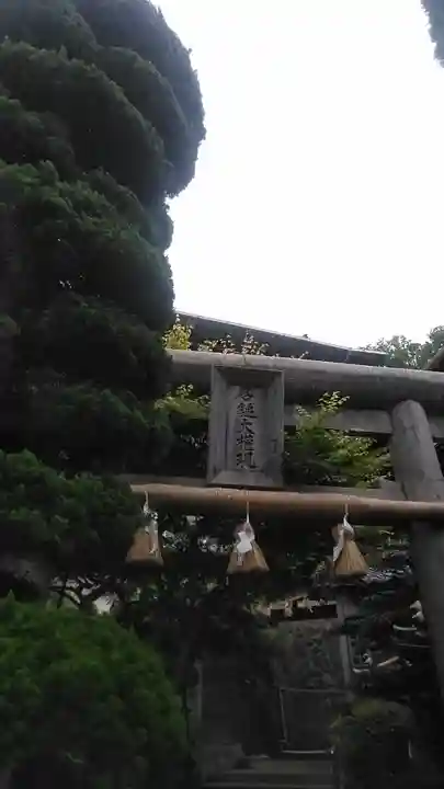 石鎚本教吉見教会(山口県)