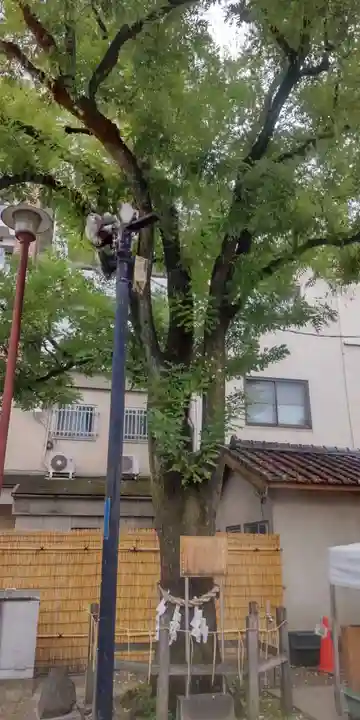 浅草神社(東京都)