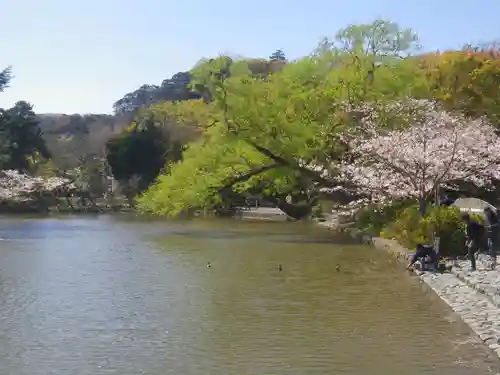 鶴岡八幡宮の庭園