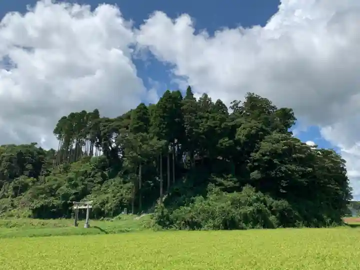 大宮神社(千葉県)