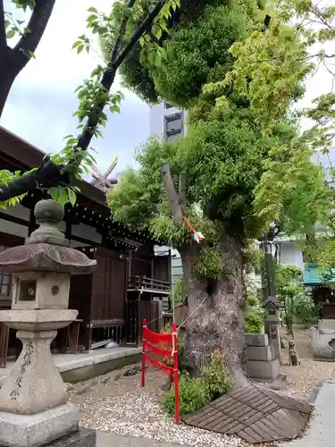三輪神社の自然