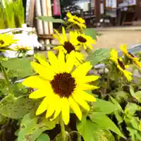 七重浜海津見神社(北海道)