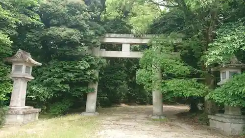 奈良縣護國神社の鳥居