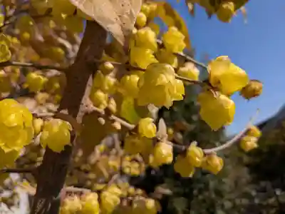 北野神社(東京都)