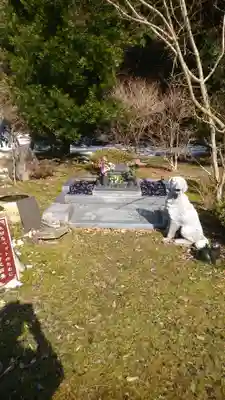 金剛院(京都府)