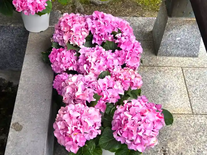曼荼羅寺(香川県)