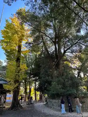 玉前神社(千葉県)