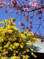 蔵前神社(東京都)
