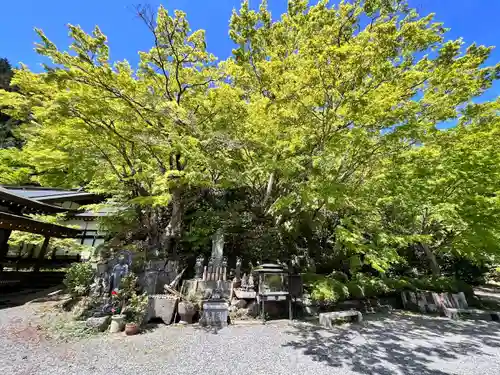 両子寺(大分県)