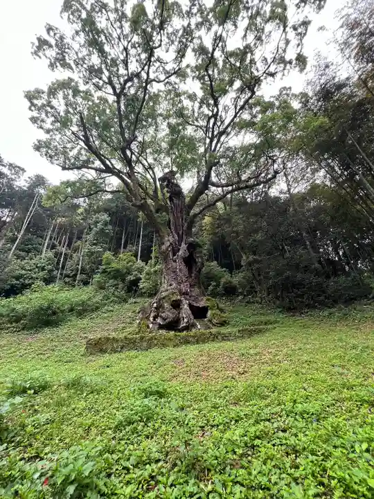 武雄神社(佐賀県)