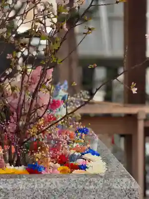 札幌諏訪神社(北海道)
