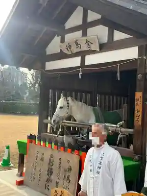 賀茂別雷神社（上賀茂神社）(京都府)