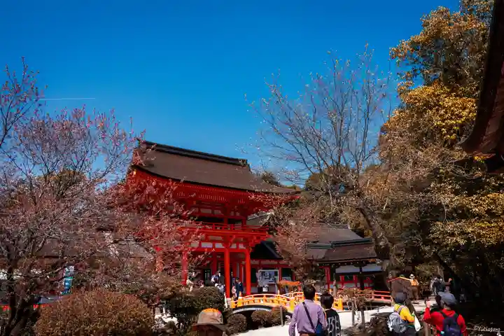 賀茂別雷神社(上賀茂神社)(京都府)