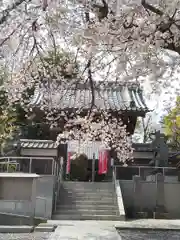 慈眼寺の山門