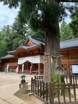 穂高神社本宮(長野県)