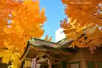 銀杏岡八幡神社(東京都)