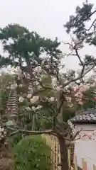 神蔵寺の自然