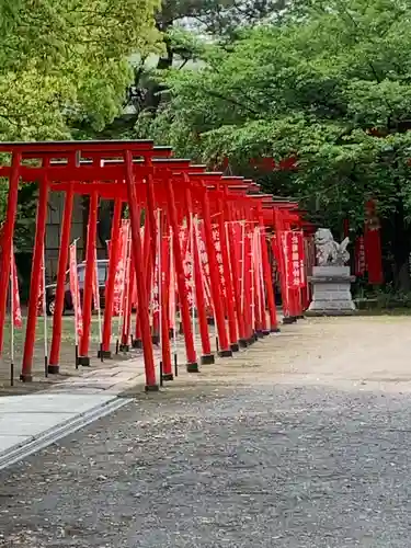 於菊稲荷神社の鳥居