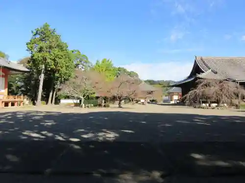 道成寺の庭園