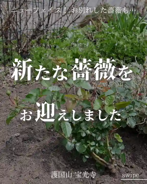 宝光寺(北海道)