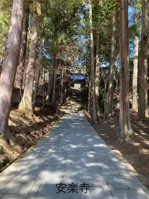安楽寺(長野県)