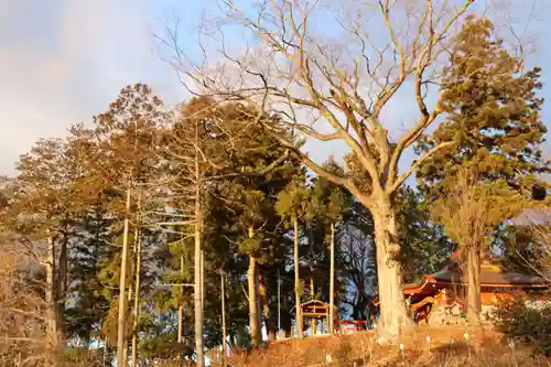 阿久津「田村神社」（郡山市阿久津町）旧社名：伊豆箱根三嶋三社の景色