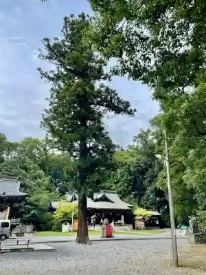 朝日森天満宮(栃木県)