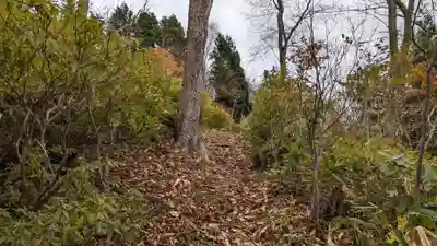 本輪西八幡神社の自然