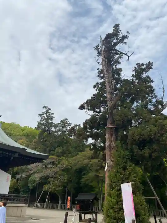 吉備津彦神社(岡山県)