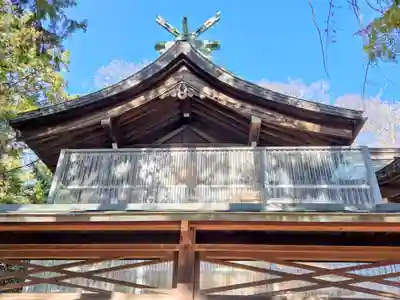 小杉神社(神奈川県)