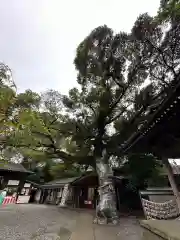 座間神社(神奈川県)