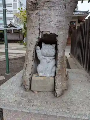 荻窪白山神社(東京都)