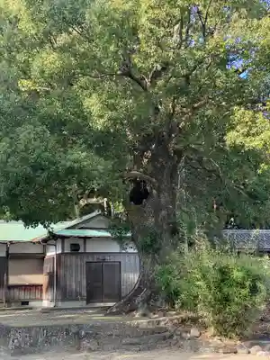 熊野三所大神社（浜の宮王子）(和歌山県)