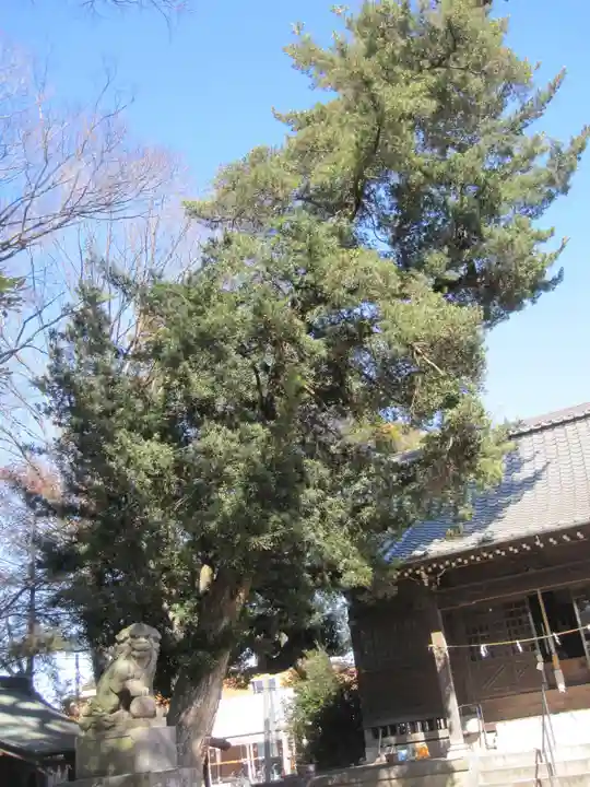 香取神社(埼玉県)