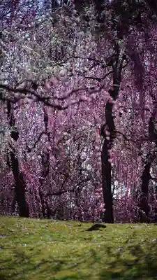 城南宮(京都府)