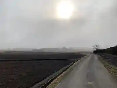 子野神社(千葉県)