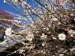 高麗神社の自然