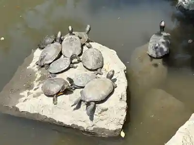 吉備津彦神社(岡山県)